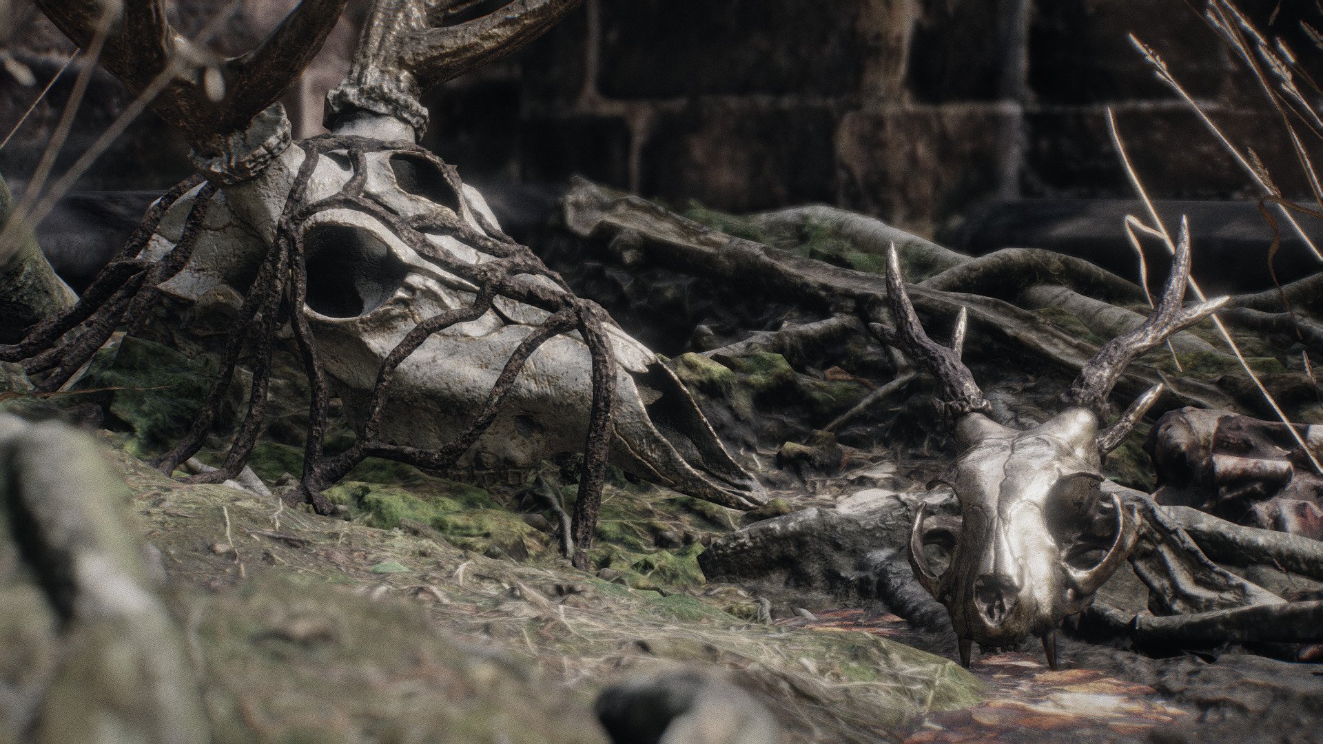 this scene features 2 new skulls i made. they were both sculpted, retopologized and textured by hand. the white deer skulls has 6K textures (the roots are a seperate mesh and can just be removed). the feline skull has 4K Textures. all the objects in this scene have PBR materials with at least 3 textures each 3d model