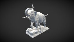 Maquette préparatoire de léléphant dAsie elephant, collection, museum