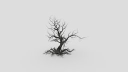 Halloween Tree-SK-27 tree, unreal, creepy, scary, nature, amazing, halloween, scarytree, halloween2021, halloweentree
