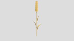 Low Poly Wheat plant, vegetation, farm, wheat, lowpoly, gameasset, noai