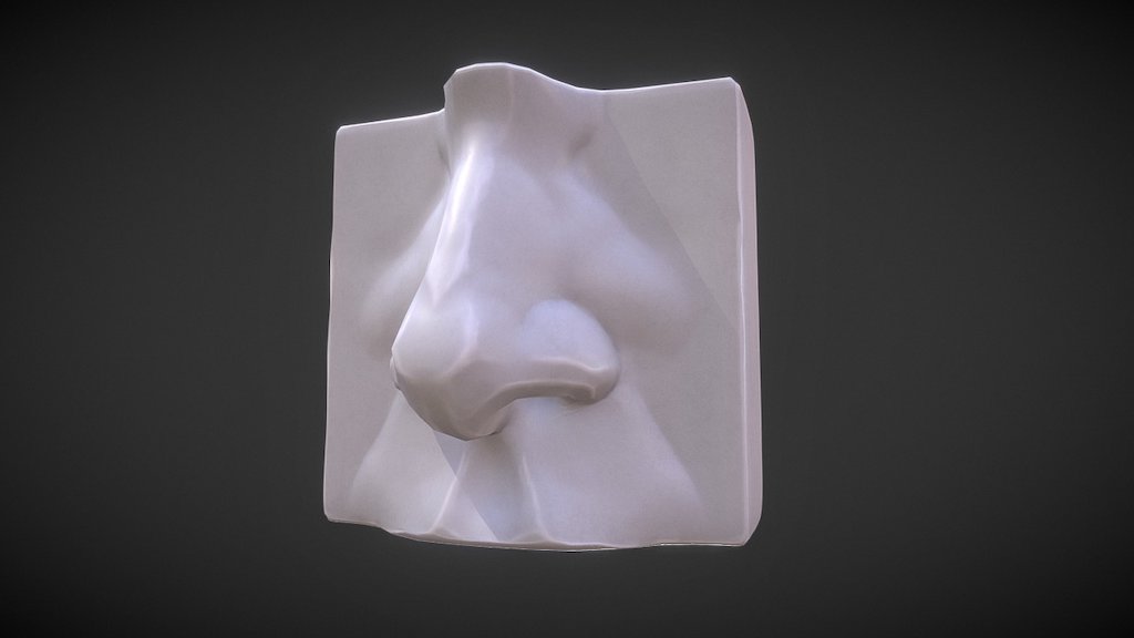 Really enjoying doing these quick facial anatomy studies. 

📺 YouTube: www.youtube.com/c/TimKaminski 
📷 Instagram: www.instagram.com/randomspirits/ - Anatomy Study - Nose - 3D model by randomspirits 3d model