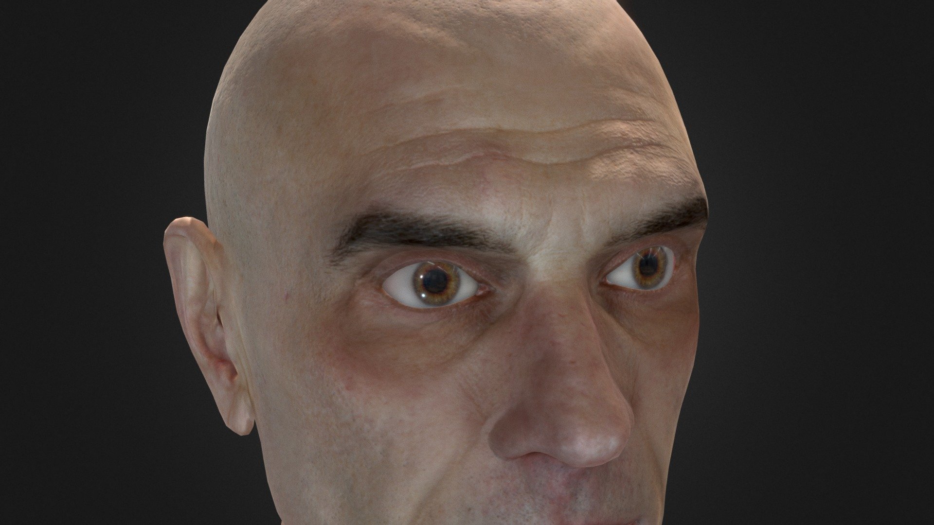 This is a photo realistic head study.  It's relatively lo-poly.  A typical game mesh.  Modelled with 3DSmax and Zbrush.  Textures in Photoshop 3d model