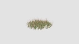 simple grass large plant, grass, key, large, 135, am124, simple