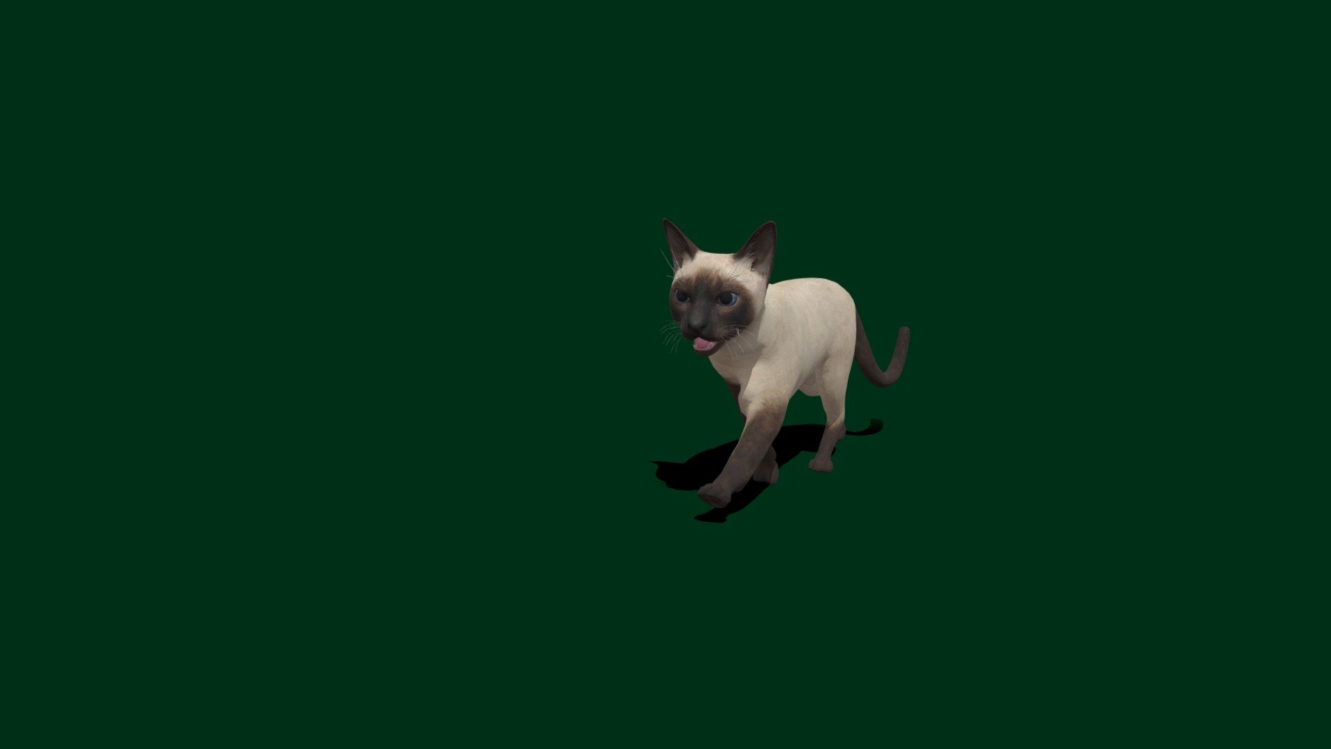 Cat
Game Ready Cat Animation for Sales .
10X animations for Unity and Unreal 
The Siamese cat is one of the first distinctly recognized breeds of Asian cat. Derived from the Wichianmat landrace, one of several varieties of cat native to Thailand, the original Siamese became one of the most popular breeds in Europe and North America in the 19th century - Siamese_cat_game_ready - 3D model by Nyilonelycompany 3d model