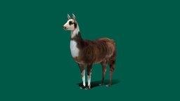 Llama (Lowpoly) animals, mammal, llama, camelidae, herd, animalia, lowpoly, gameready, domesticated, nyilonelycompany, noai, lama_glama