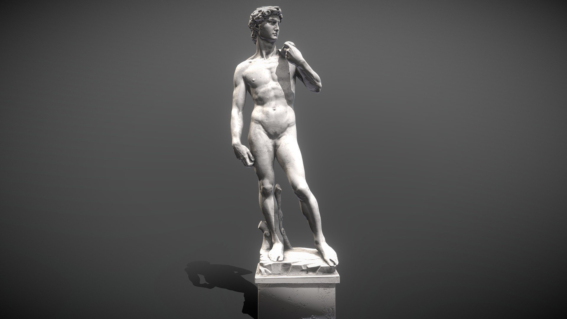 David Michelangelo - David - 3D model by liaowangtaiepo 3d model