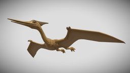 [Low Poly] Pterosaurs