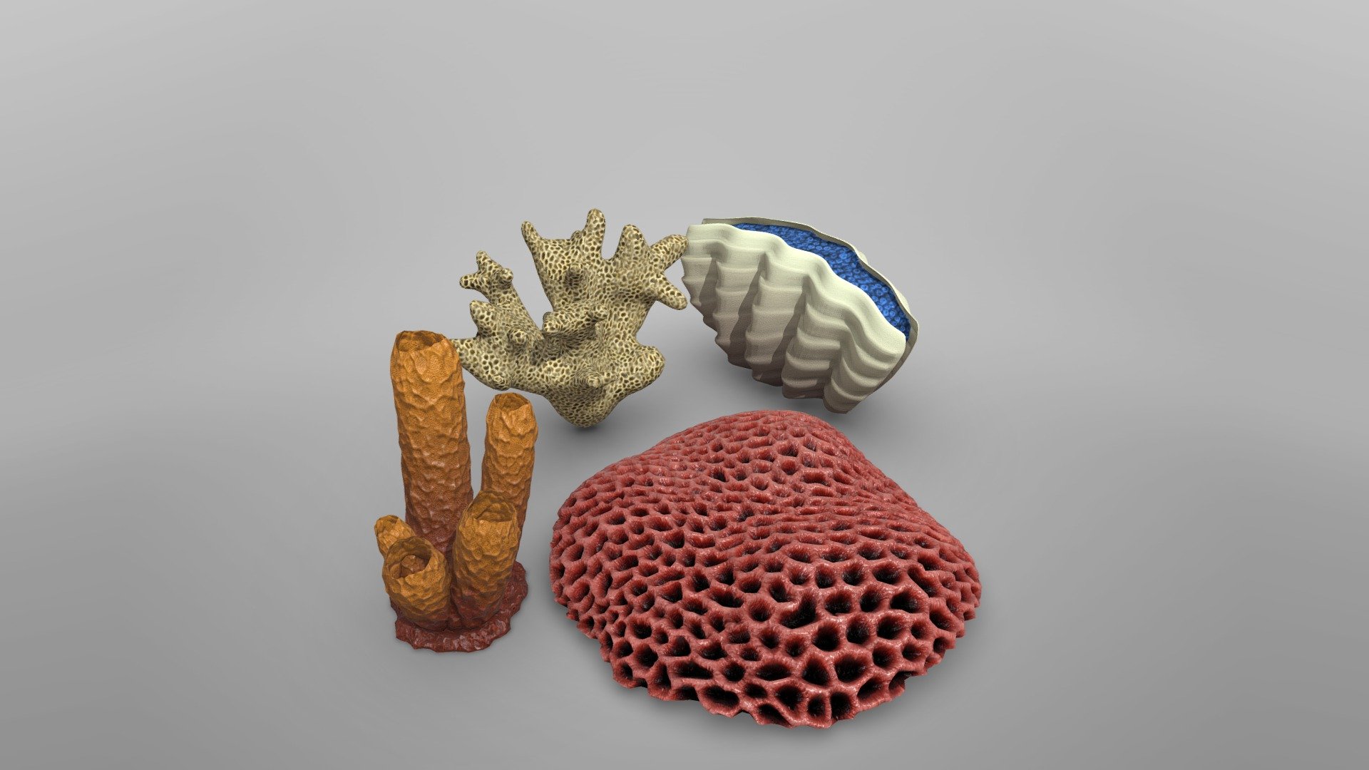 3D lowpoly models of 4 different types of corals. 

Individual corals available in links:


Red coral
Blue coral 
Orange coral 
White coral
 - Lowpoly Coral Pack - Download Free 3D model by assetfactory 3d model