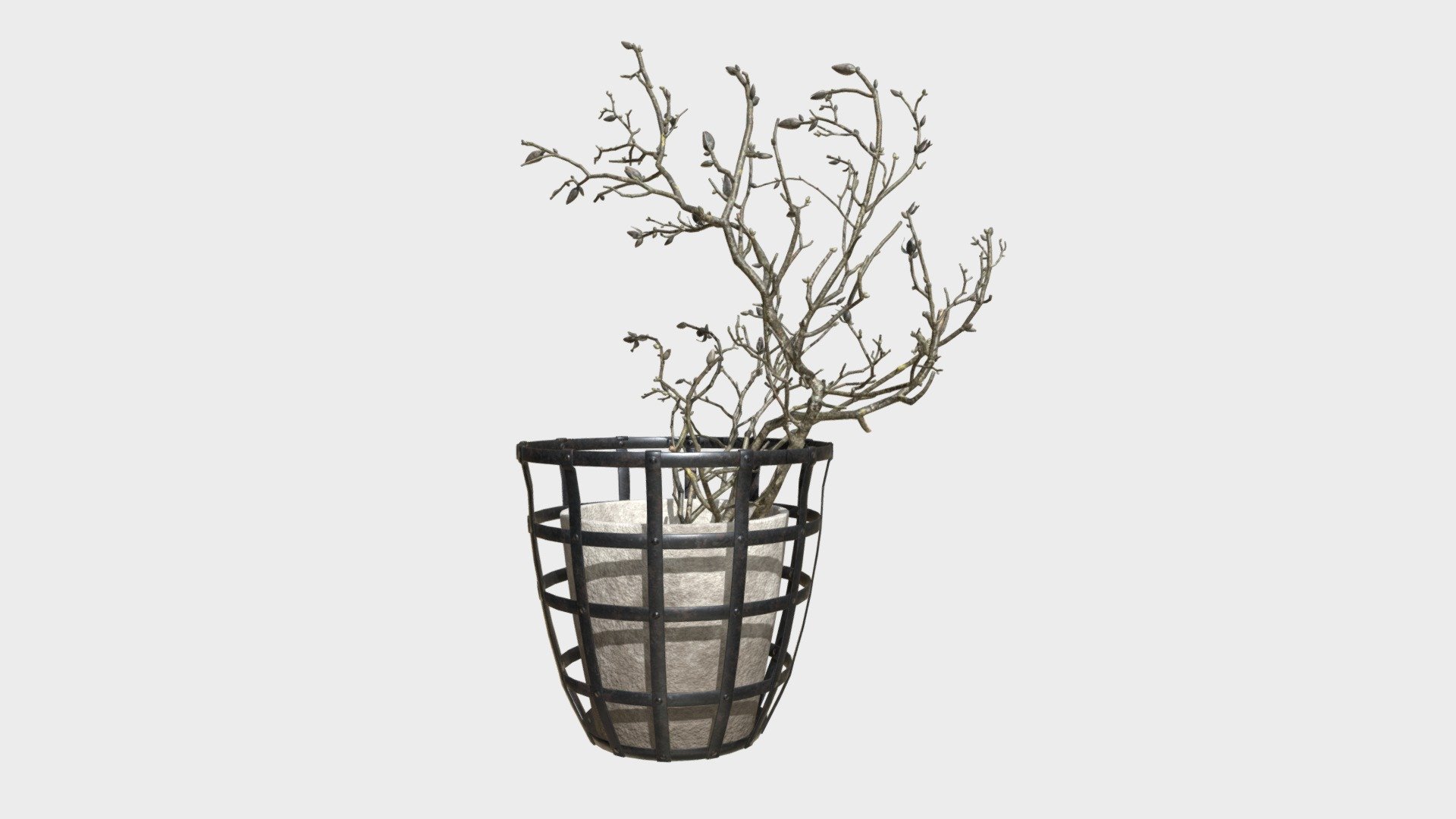 3d model decor branch dry magnolia.
created Blender Version 2.79 - Decor branch dry magnolia - 3D model by Wazzabi 3d model