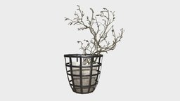 Decor branch dry magnolia tree, flora, household, vase, branches, pottery, branch, bark, decorated, decorations, dry, bouquet, bushes, magnolia, flower-pot, cycles-gal-art-deco, blender, interior