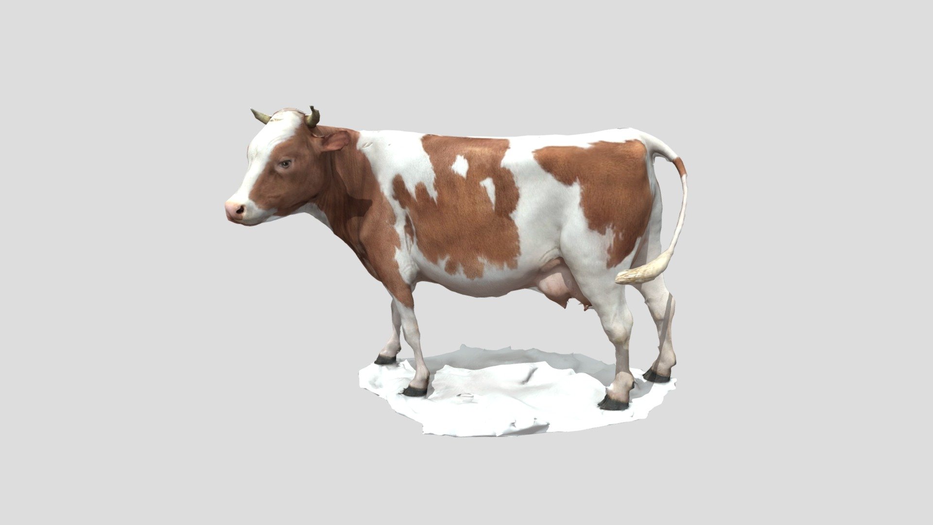 brown cow original obj with corrected texture pls check 

obj-https://cdn.glitch.me/d6a1c332-13b0-4c7c-a85d-21790c18486c%2FTextured_mesh_1.obj?v=1638980816628
mtl-https://cdn.glitch.me/d6a1c332-13b0-4c7c-a85d-21790c18486c%2FTextured_mesh_1.mtl?v=1638980780377 - Cow brown - Download Free 3D model by Nyilonelycompany 3d model