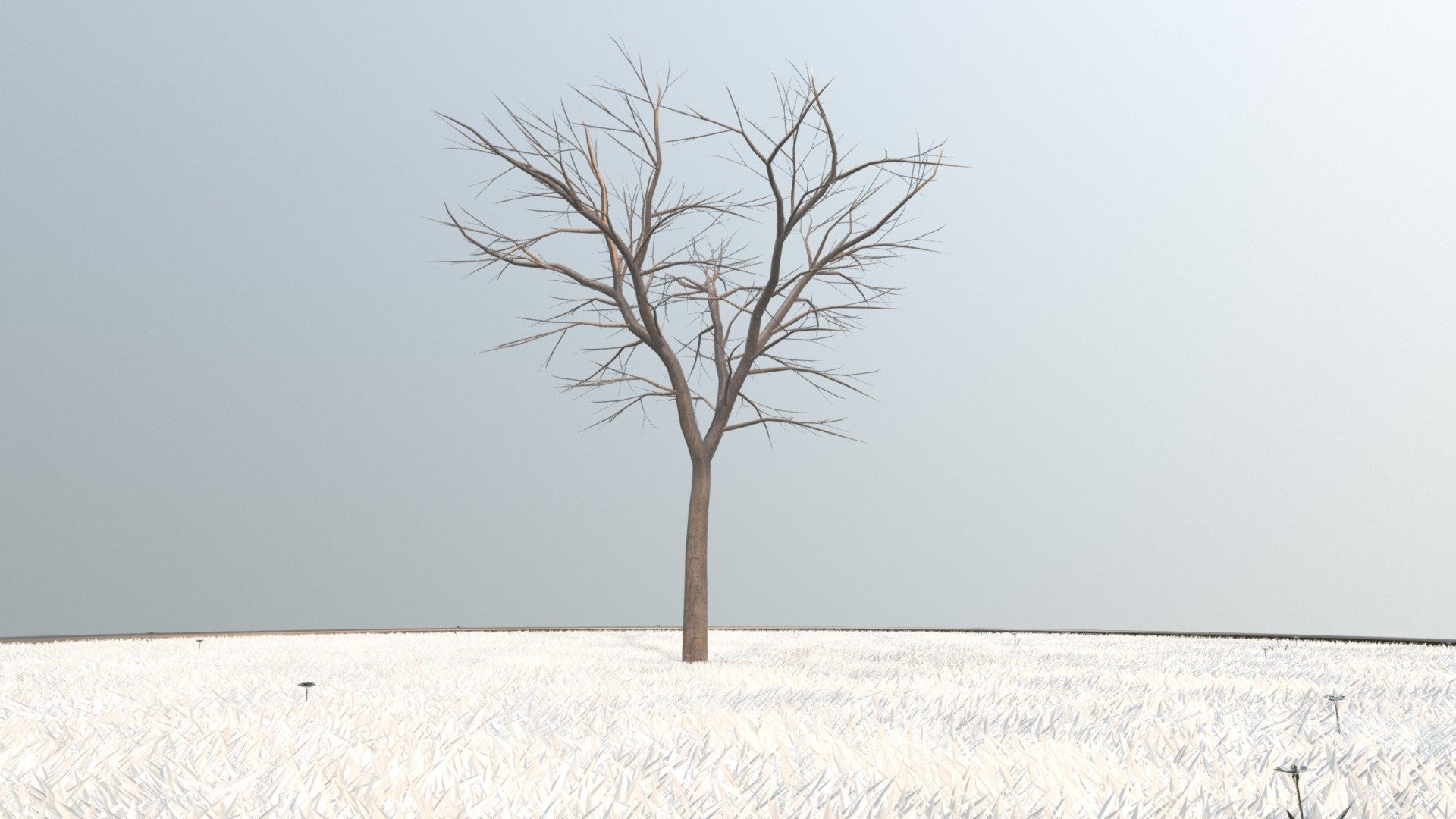 Kastanie 8 Meter im Winter.



Ein 3d-Objekt aus dem VIS-All Baum Module 4 

Modelliert und texturiert von 3DHaupt mit Blender-3D - Kastanie 8 Meter - Winter - Buy Royalty Free 3D model by VIS-All-3D (@VIS-All) 3d model