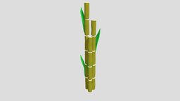 Sugarcanes 