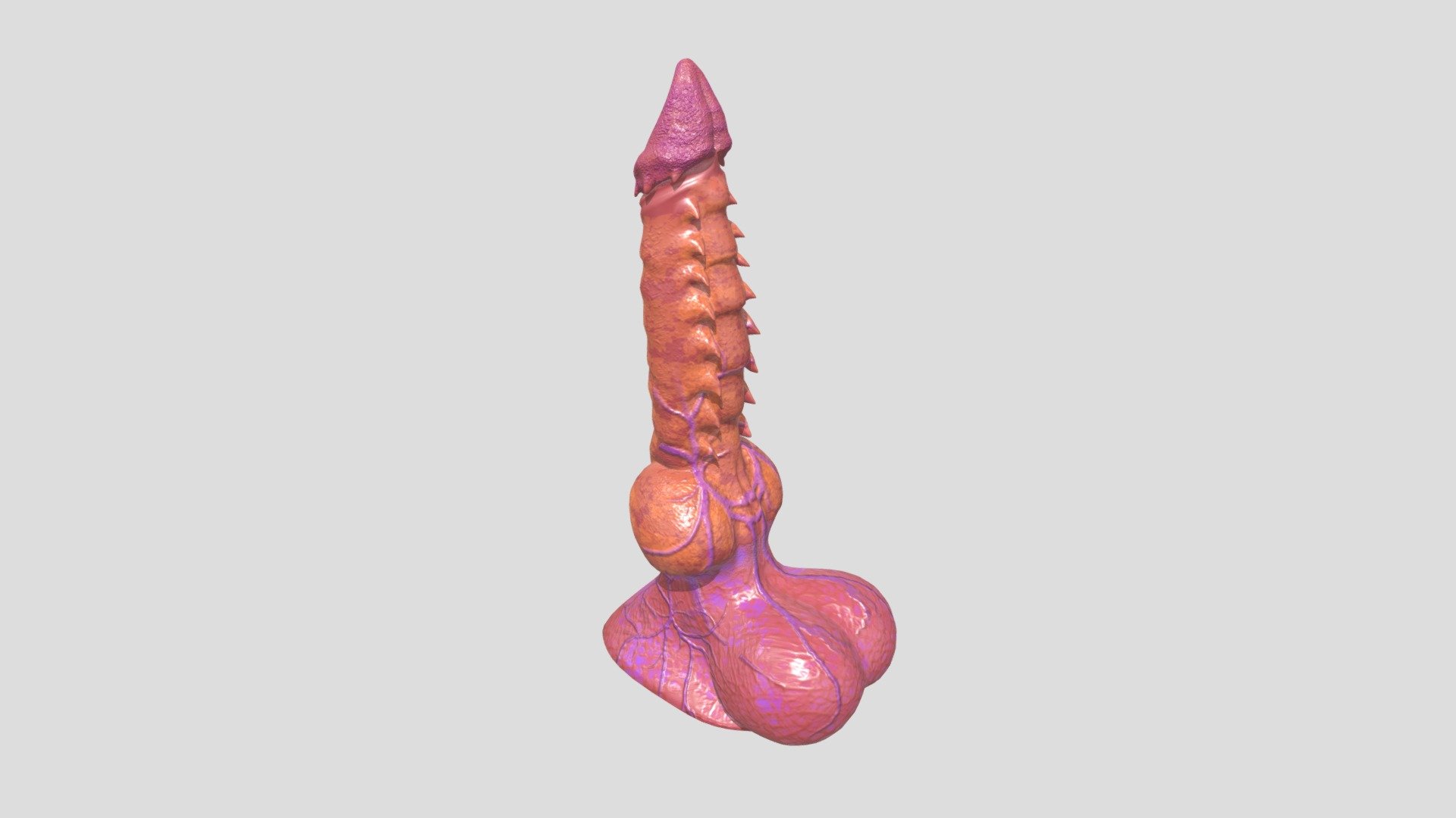 A beautiful dragon penis with extra attention to details 3d model