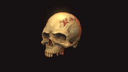 Boneys Legacy diffuse, scull, handpainted, game, lowpoly, noai