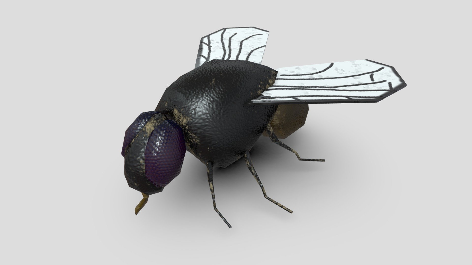 This is your standard, run-of-the-mill fly, classified as a Diptera. This is a low poly model&ndash;certainly not meant for close scrutiny. ;) If you look at my other Fly Paper model, you'll see a good use of such a low poly fly 3d model