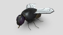 Low Poly House Fly (Diptera) insect, bug, buzz, flies, diptera, low-poly, lowpoly, fly