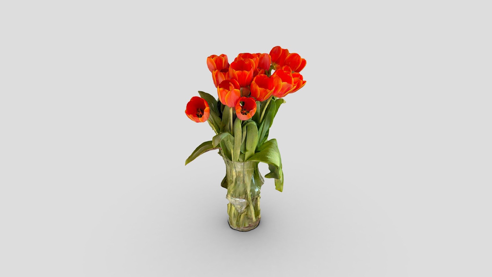 Created with Polycam - Tulips bouquet - Download Free 3D model by alban 3d model