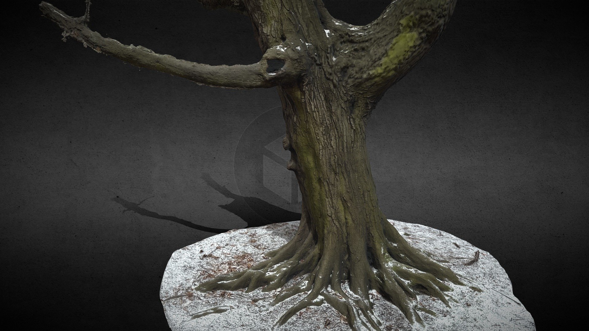tree roots snow ground photoscan - photogrammetry
made on canon mkII lens 35mm
maps: diffuse 8k, roughness, nrm, bump, ao
cleaned geometry, no retopology - tree roots snow ground photoscan - Buy Royalty Free 3D model by looppy 3d model
