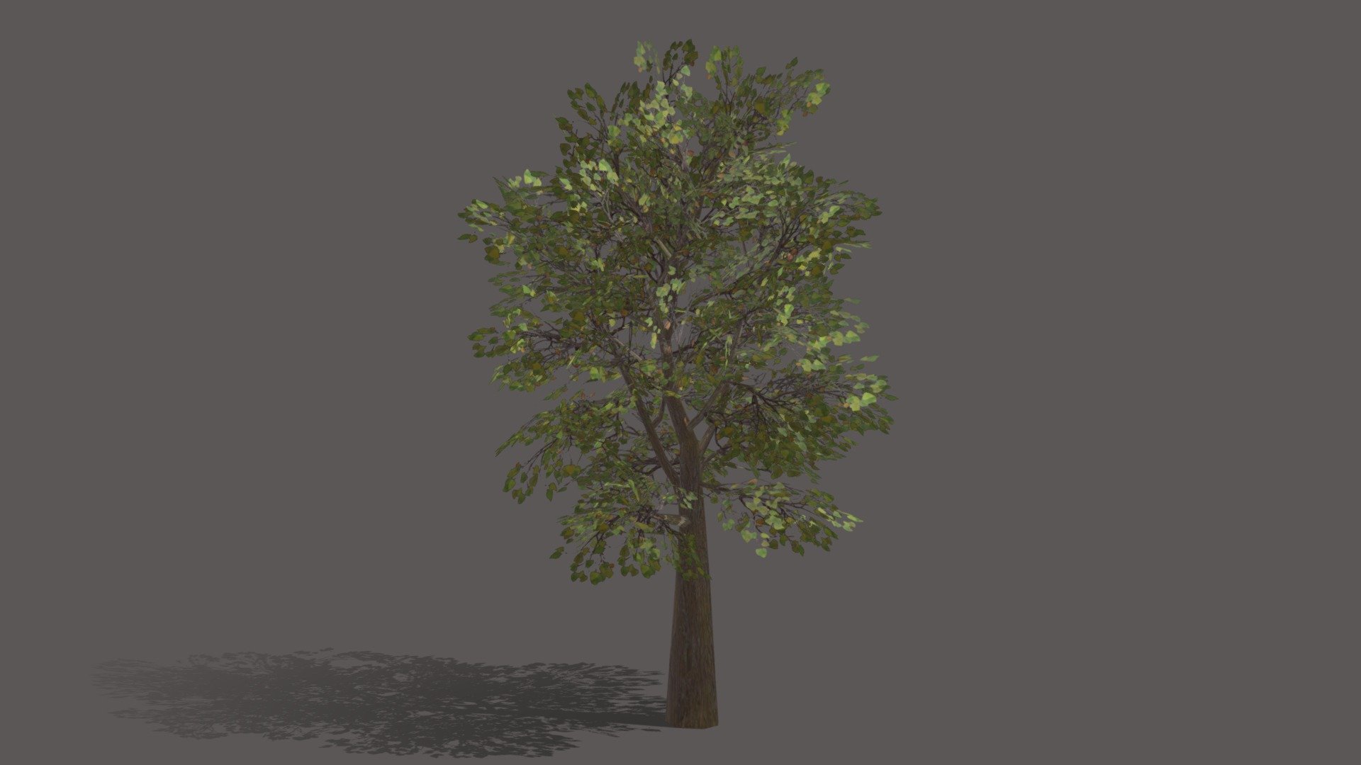 this tree can be used in games for creating environment. a low ploy tree with alpha mapped textures.

if you find any problem or issues related to this model please contact me 3d model