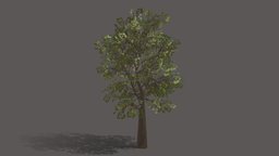 Game ready tree trees, tree, forest, interior-design, low-poly-model, environment-assets, lowpolytree, tree-trunk, gameasset, gameready