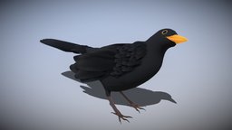 Animated black bird toon, bird, birds, animals, spring, crow, blackbird, nature, feather, oiseau, merle, blender, animal, stylized