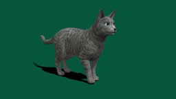 Archangel Cat cat, cute, animals, mammal, archangel, animations, breed, creature, nyilonelycompany, noai, russian_blue_cat, archangel_cat, archangel_blue, felis_catus