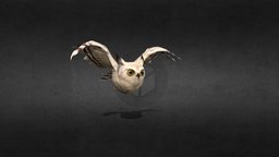 Owl Animation Fly owl, bird, modeling, fly, animal, animation, textured, rigged