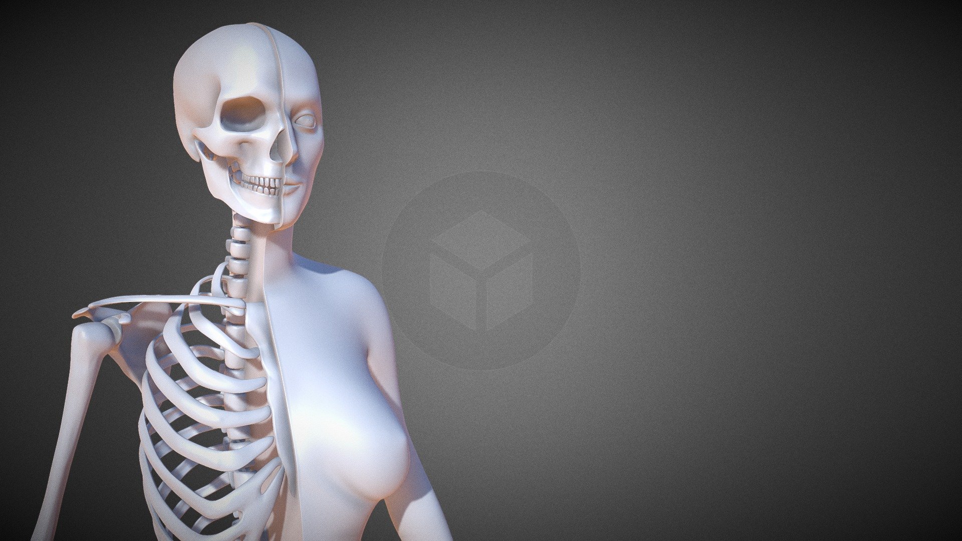 Female Skeleton Anatomy  3d print model ready to use

Print Size In inch

x 2.38 inch

y 5.00 inch

z 2.38 inch

Polycount

Vertex 872030 Face 1746493

File format

ZTL Obj Fbx Stl

We greatly appreciate you choosing our 3D models and hope they will be of use. We look forward to continuously dealing with you.

If you like this collection don't forget to rate it please - Enjoy

Hope you like it! - Female Skeleton Anatomy 3D Print - Buy Royalty Free 3D model by Mikle (@cgamit786) 3d model