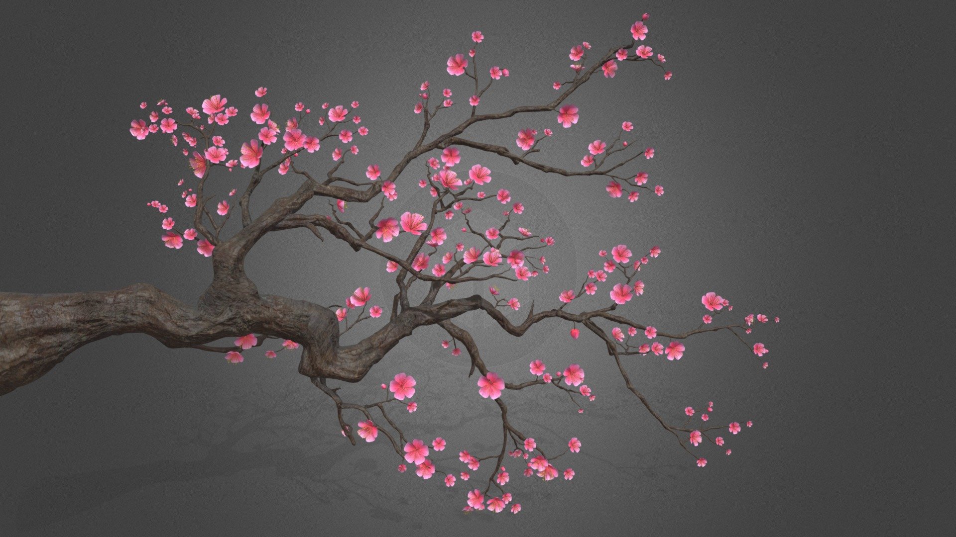 plum blossom - Buy Royalty Free 3D model by misitewang 3d model