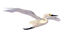 Animated Storck Low Poly Art flying, baby, bird, triangle, white, pen, wings, wild, duck, flight, gray, flamingo, lowpolygon, heron, beak, crane, goose, wildlife, lowpolyart, lowpolymodel, waving, waterfowl, cranebirds, waving-hand, low-poly, lowpoly, animal, animation, animated, polygon, storck, heronbird