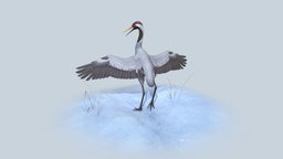 Eurasian Crane bird, birds, animals, snow, realtime, crane, stork, cranebirds, substancepainter, blender, zbrush, animal, stylized, gameready