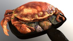Boiled Crab in a Frying Pan food, crate, product, cafe, restaurant, dish, pan, meal, eat, traditional, seafood, boilled