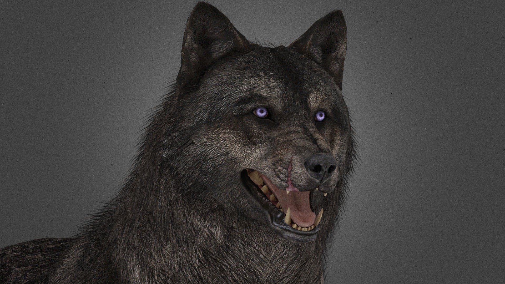 Hi puppy fam
Here's some alternate textures for the White Wolf version: Skin 2
And the HellHound Version: Hellhound

Wolf Fan-made Pup Version now released, now you can make a little family!: COD: Ghost's Wolf Pup (Fanmade)

A Model of the Ghost Wolf, all I did was re rig it, originally done in blender.

https://sketchfab.com/3d-models/realistic-gray-wolf-d9d35db40bb541529cf86d5b68901530 - COD: Ghost's Wolf [+Puppy] - Download Free 3D model by Puppies4life (@PuppyClub) 3d model