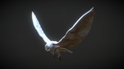 Animated and rigged Owl owl, bird, wings, nature, feathers, substancepainter, blender, animal, animation, animated, rigged
