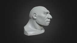 Neanderthal Head face, statue, head, neanderthal, printable, caveman, neanderthalensis, bust, man, human, highpoly