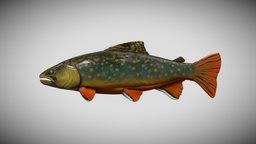 Fish | Rainbow Trout fish, obj, 4k, fbx, printable, lure, 3d, blender