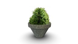Low Poly Outdoor Pot Plant tree, plant, mini, pot, shrub, indoor, outdoor, pbr, low, poly