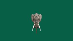 Elephant 🐘 (Non elephant, big, animal, nyilonelycompany