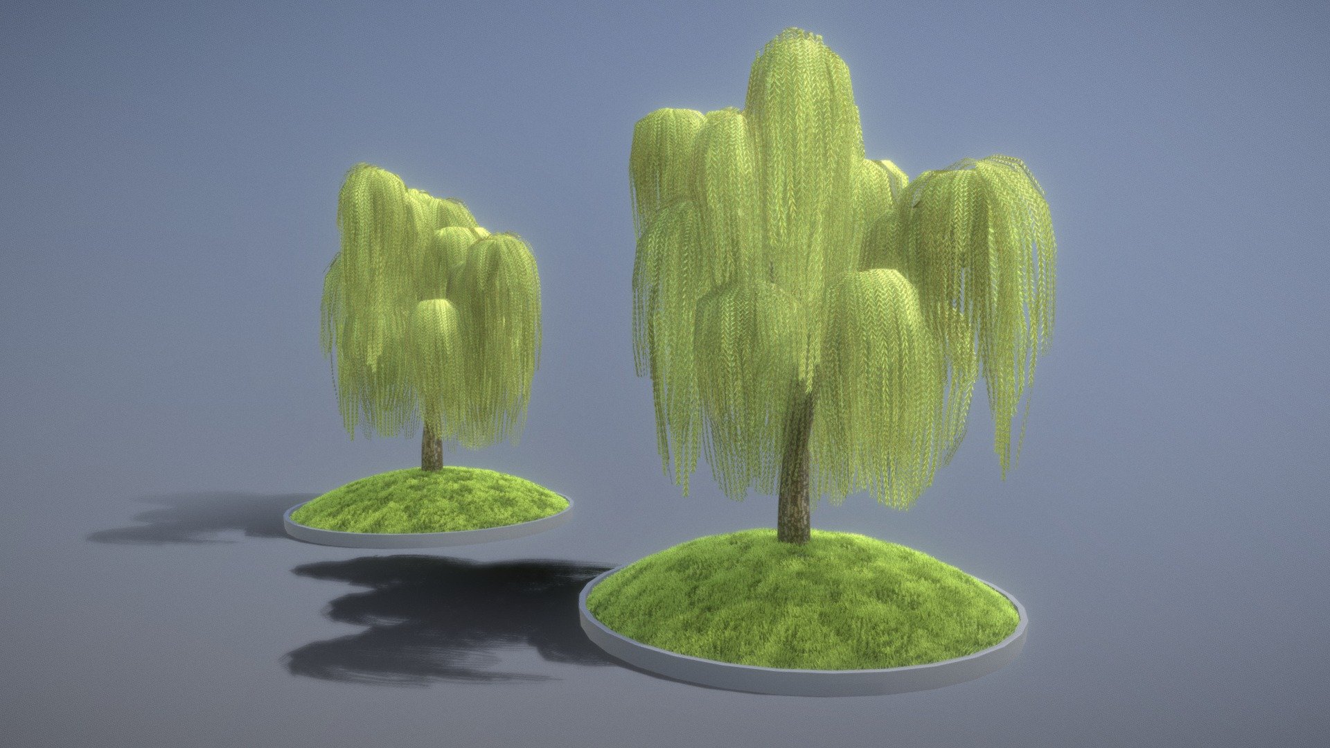 Silver Willow version 5 with and without wind animations for tree and leaves. 

Test in silver willow meadow hill forest.



Silberweide Version 5 mit und ohne Windanimationen für Baum und Blätter. 

Test im Silberweidenwiesehügelwald.










Object Name - Silver_Willow_5_19m 

Object Dimensions -  14.857m x 18.640m x 19.277m






Vertices = 3966

Edges = 9322

Polygons = 5552






Lawn Fields - Package
 - Low-Poly Silver Willow Version 5 - Buy Royalty Free 3D model by VIS-All-3D (@VIS-All) 3d model