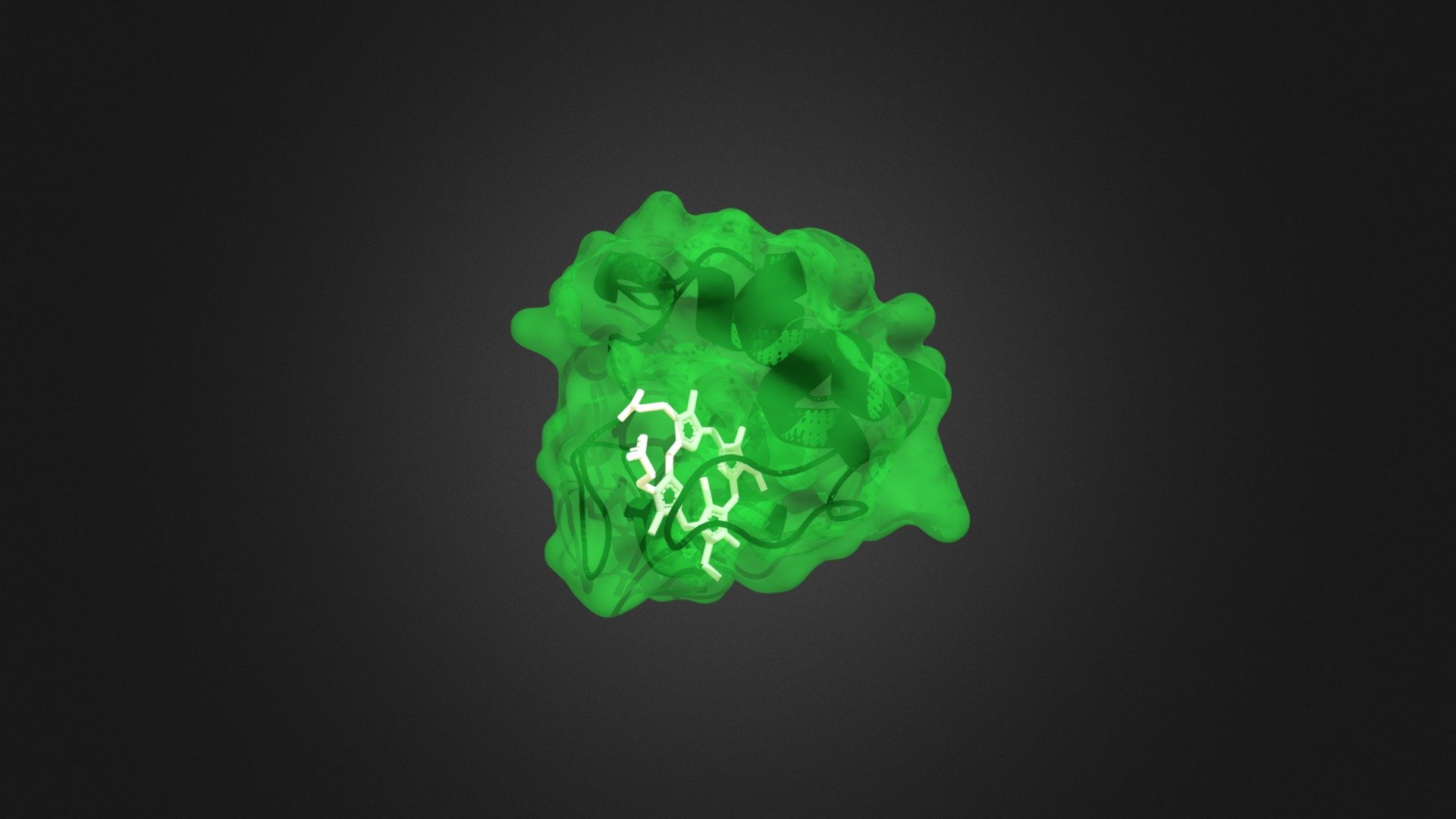 Practice molecules (Cytochrome C) - Download Free 3D model by sfrankel3 3d model