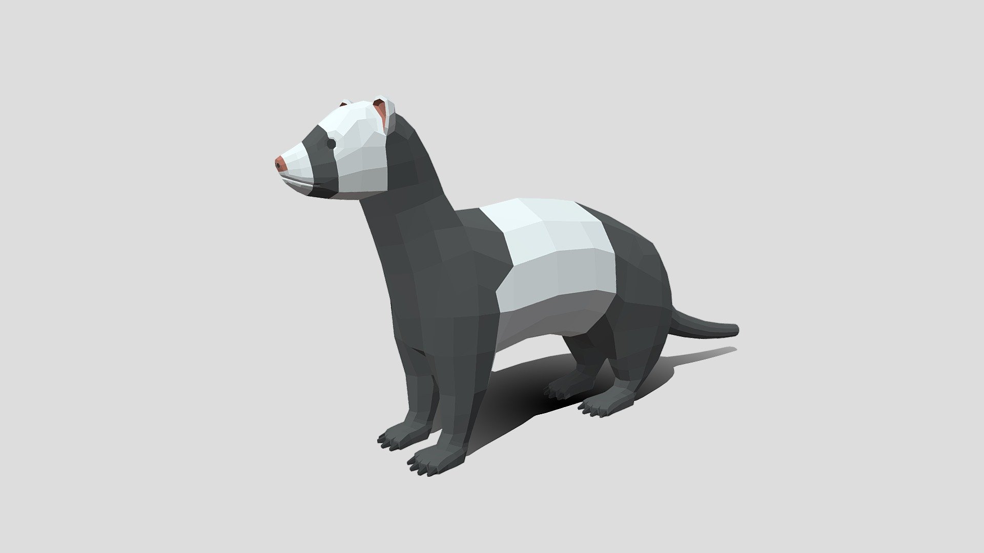 This is a low poly 3D model of a Ferret. The low poly ferret  was modeled and prepared for low-poly style renderings, background, general CG visualization presented as 1 mesh with quads only.

Verts : 1.228 Faces : 1.226.

The 3D model have simple materials with diffuse colors.

No ring, maps and no UVW mapping is available.

The original file was created in blender. You will receive a 3DS, OBJ, FBX, blend, DAE, Stl, gLTF.

All preview images were rendered with Blender Cycles. Product is ready to render out-of-the-box. Please note that the lights, cameras, and background is only included in the .blend file. The model is clean and alone in the other provided files, centred at origin and has real-world scale 3d model