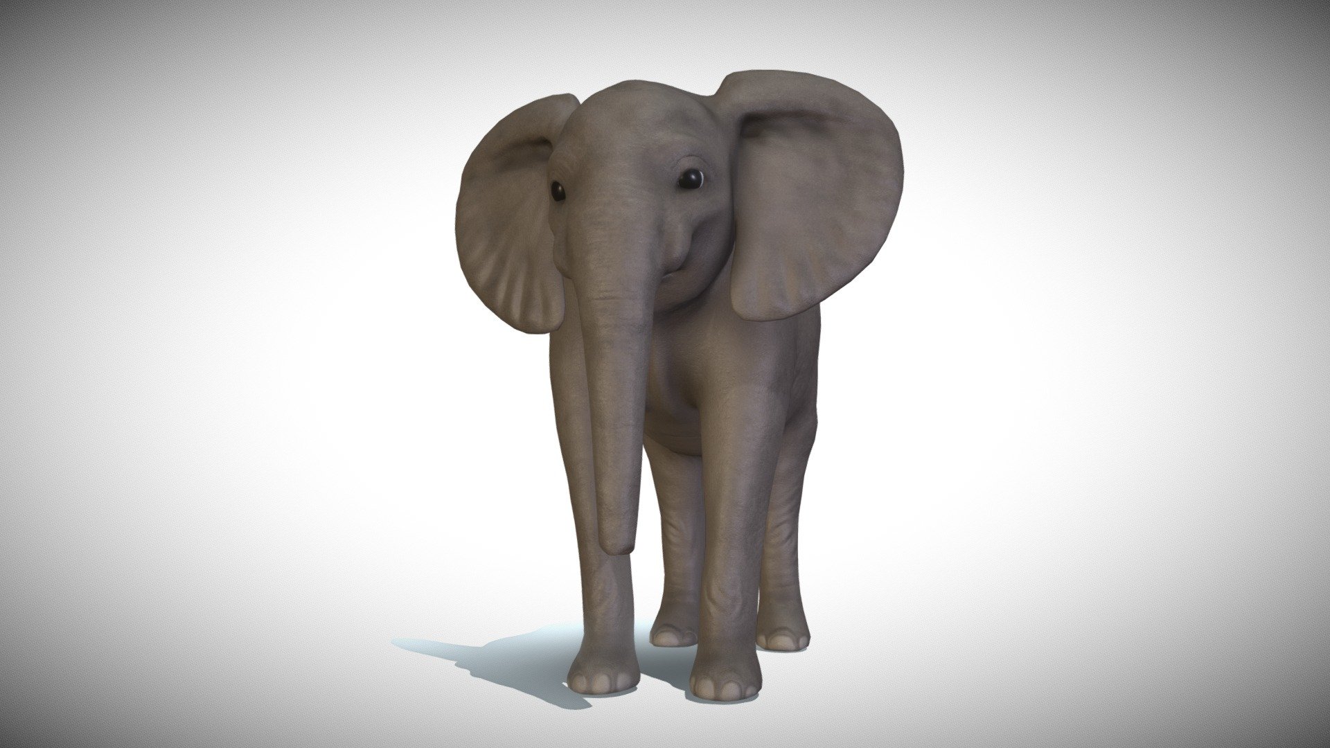 Real time elephant model - Baby Elephant model - 3D model by heyyjayy 3d model