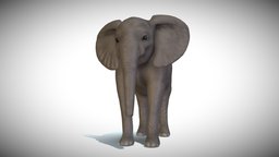 Baby Elephant model elephant, realtime, model, animal
