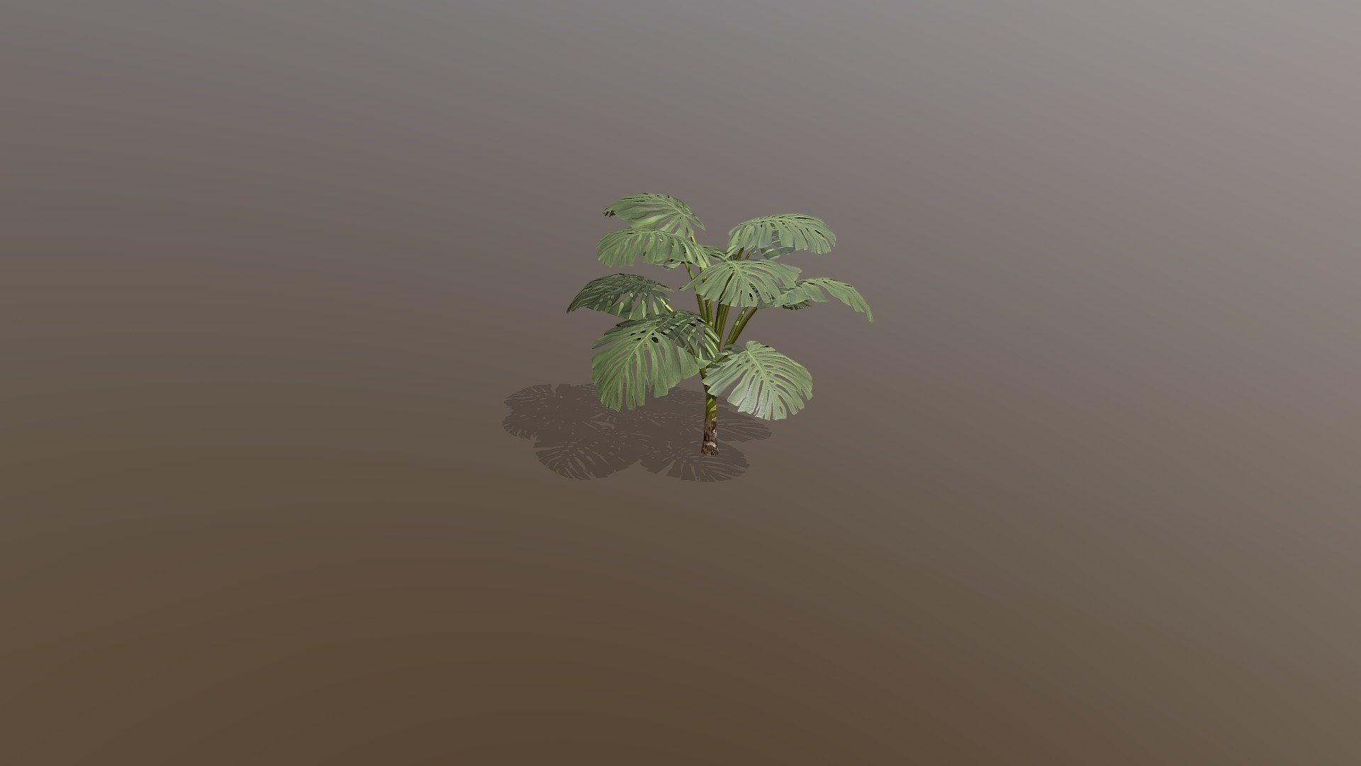 Tropical Plant made in treeit 3d model