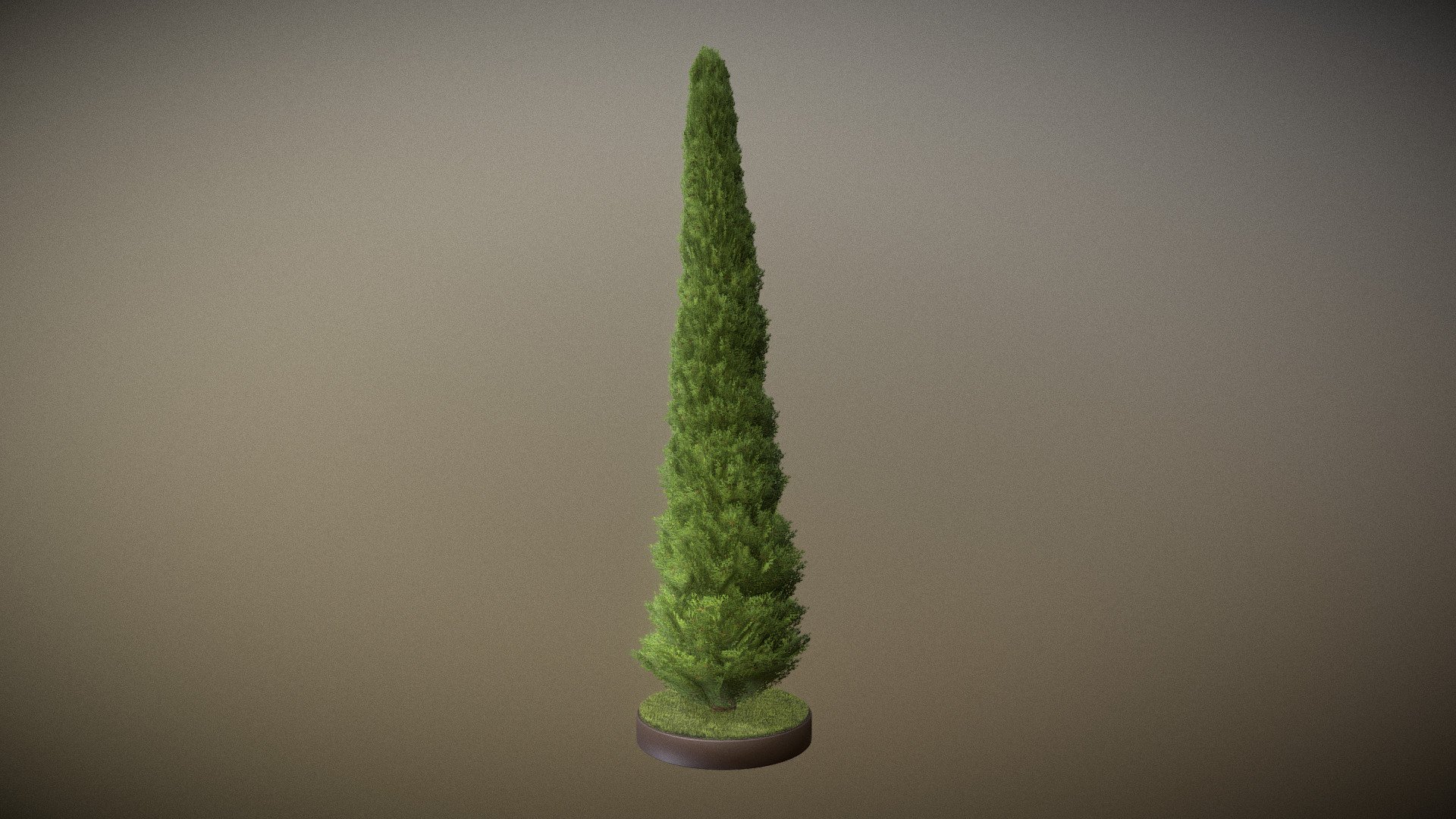 Here is a 8 meter high cypress for your garden scene or house visualization project.





Textures(4k):


Color map
Mask texture for the transparency
Normal map


Here on Sketchfab you can view or purchase some of our 3d-models which we are using in our projects for VIS-All.

The models was created by 3DHaupt for the Software-Service John GmbH.

3D-Model was modelled and textured in blender 3d model