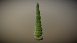 Cypress tree, garden, evergreen, nature, bush, needle, game-ready, leyland, cypress, conifers, vis-all-3d, zypresse, 3dhaupt, software-service-john-gmbh, hecke, bastardzypresse, cupressocyparis-leylandii, thuya, cypress-version, low-poly