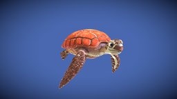 Sea Turtle turtle, marine, cute, 3dcoat, reptile, sealife, krita, leatherback-turtle, character, handpainted, animal, stylized, noai