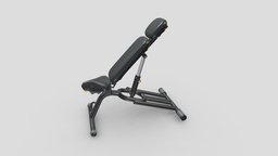 Technogym Adjustable Bench bike, room, bench, set, pack, sports, fitness, gym, equipment, cycling, collection, vr, ar, exercise, treadmill, training, professional, machine, premium, rower, weight, workout, weightlifting, 3d, home, sport, dumbells