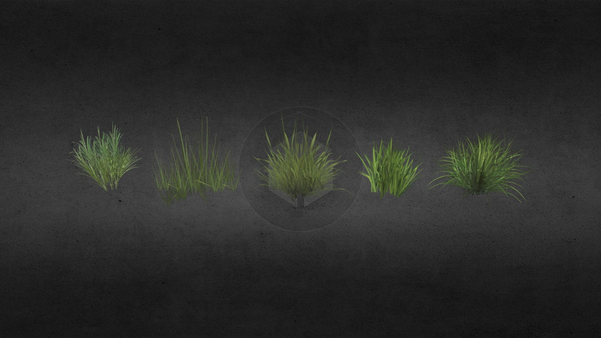 Grass is a type of bulb plant. A common kind of grass is used to cover the ground in a lawn and other places. The true grasses include cereals, bamboo and the grasses of lawns (turf) and grassland. Uses for graminoids include food (as grain, sprouted grain, shoots or rhizomes), drink (beer, whisky), pasture for livestock, thatching thatch, paper, fuel, clothing, insulation, construction, sports turf, basket weaving and many others. [Wiki]



The set includes 5 lowpoly models of grass.

All models have own transperent texture.

Trips: 72 (all set) Polygons: 36 Verts : 103.

Made in Blender v2.79
 - Grass kits pack - Buy Royalty Free 3D model by adam127 3d model